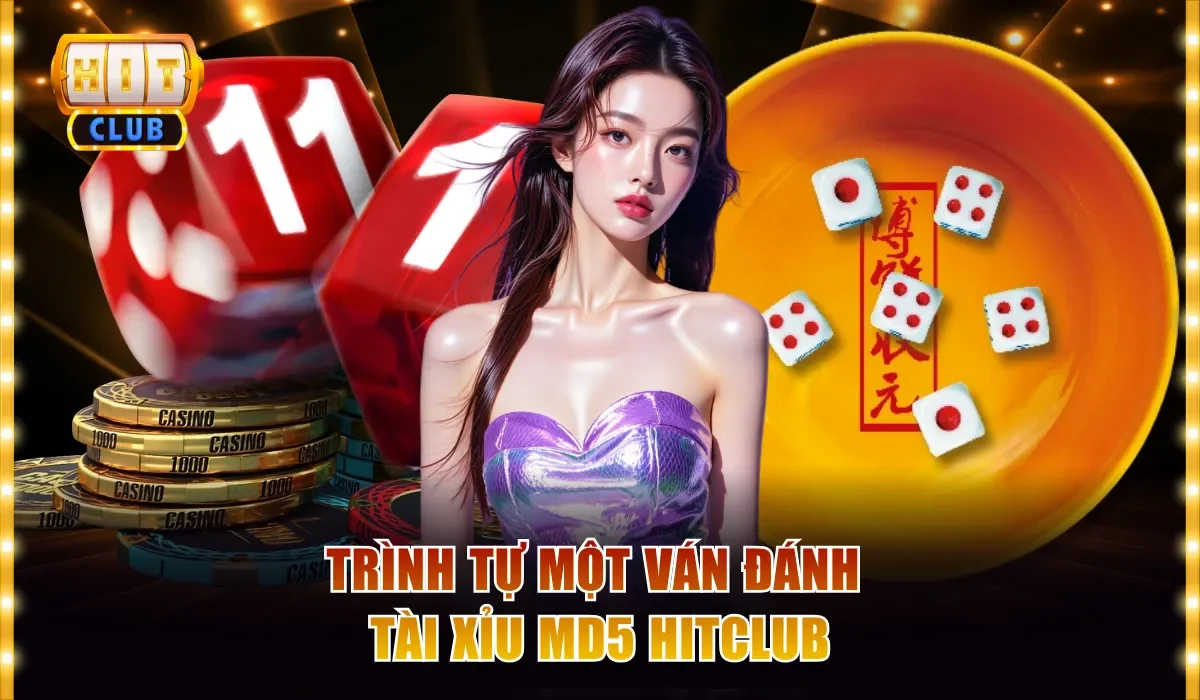 Trình tự một ván đánh Tài Xỉu MD5 Hitclub